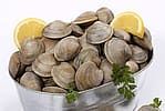 Little Neck Clams