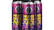Fall River Numb Numb Juice Hazy IPA 4-Pack Cans