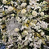 White and Yellow Orchid Spray