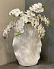 White Phalaenopsis Orchid Bundle