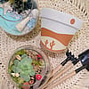 Desert Moon Paint + Plant Kit