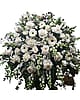 Casket Cover (all white) 