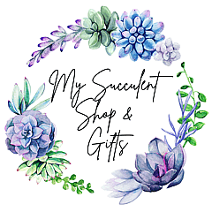 My Succulent Shop Flowers & Gifts 