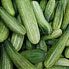 Cucumbers - 20 lb bulk box