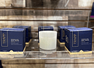 Vanilla and Soft Musk Trapp Candle