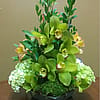 Custom Plant and Floral Arrangement