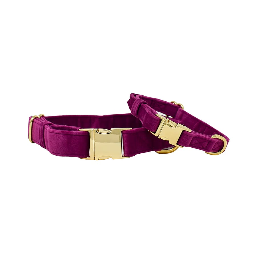 Velvet Dog Collar