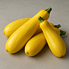 Yellow Squash