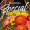 Halloween Special - Designer's Choice