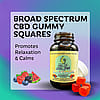 Broad Spectrum CBD Gummy Squares
