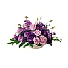 Purple Pleasures