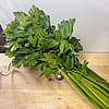 Celery