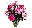Mixed Pink