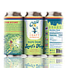 Coastal Craft Kombucha South Shore Surf's Hop