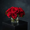 24 Compact Roses