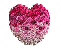Pink Ombré Heart