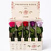 Light Pink - Rose Preserved Long Stem