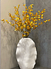 Yellow Oncidium Orchid Bundle