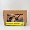 King Trumpet Mushrooms