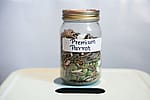 Premium Parrot Bird Food Mix
