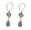Mystic Labradorite Earrings