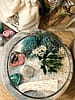 Inner Bliss Terrarium Kit with Crystal Set