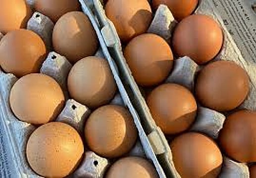 Pasture Raised Eggs - 1 dozen