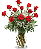 A Dozen Deluxe Roses