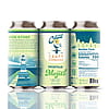 Coastal Craft Kombucha Montauk Mojito