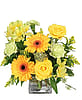 Citrus Symphony Floral Arrangement