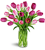 Perfectly Pink Tulips
