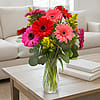 Glorious Gerbera Daises