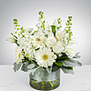 Purity by Grohe Florists