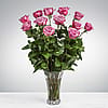 Dozen Long Stemmed Lavender Roses