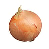 White Onion