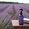 Lavender Linen/Room Spray