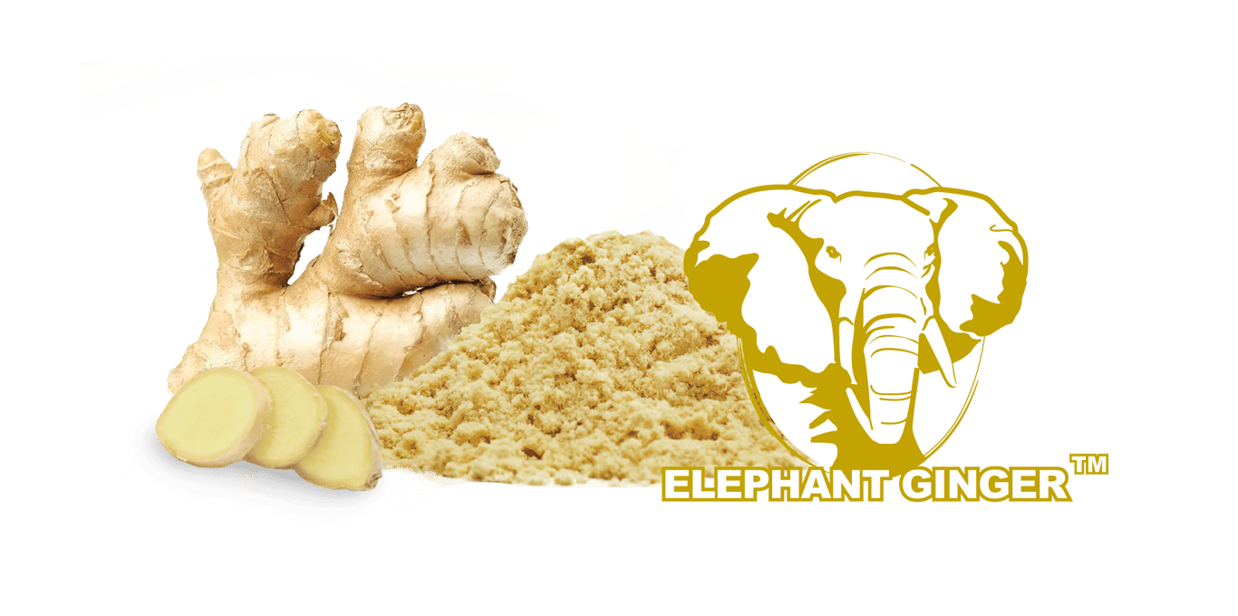 Ginger Extract Powder
