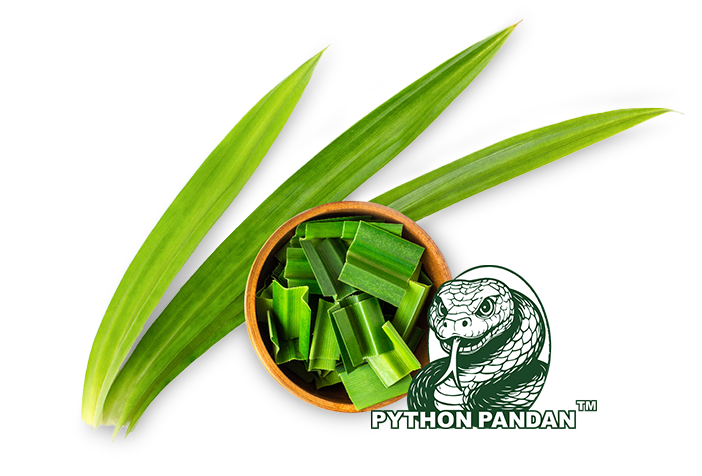 ORIGINE Python Pandan