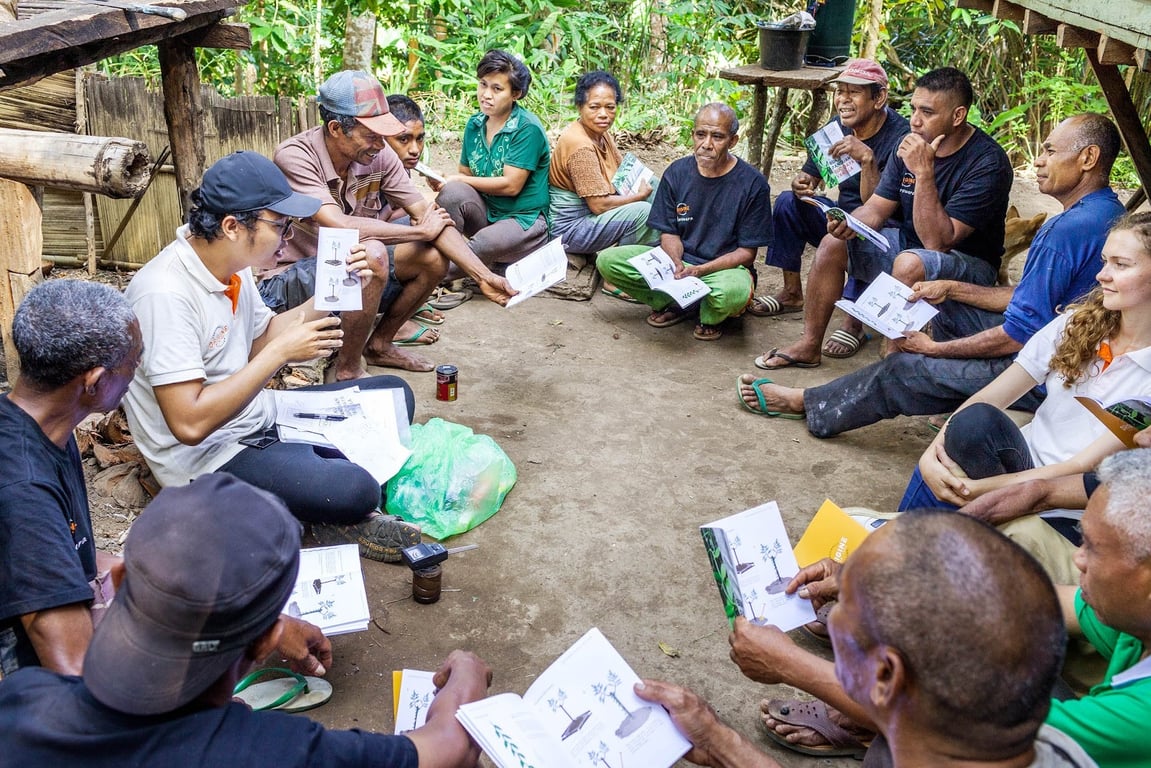 Vanilla farmer training will improve both yield and quality in the long run