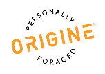 ORIGINE logo
