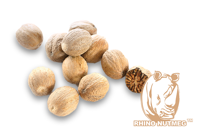 ORIGINE Rhino Nutmeg