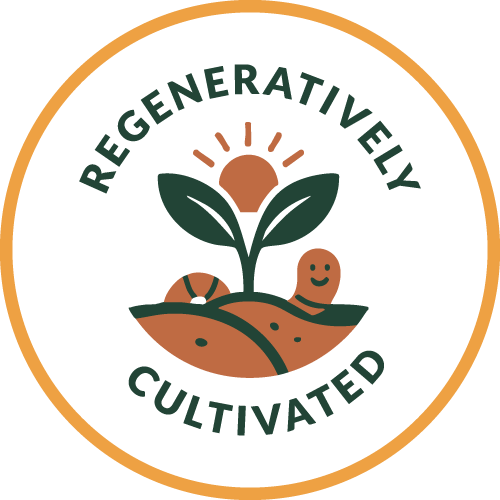 ORIGINE Value Sustainability