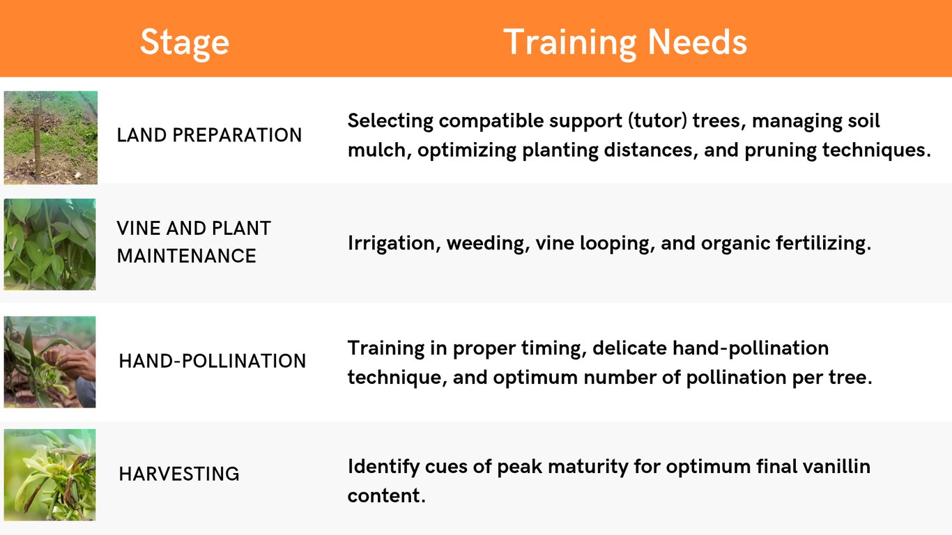 Examples of vanilla farmer training needs in each stage of vanilla farming