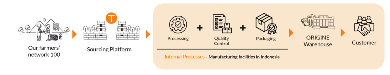 Turmeric Suplay-chain