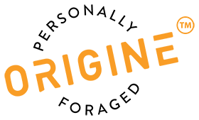 ORIGINE Logo