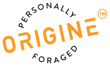 Origine Logo