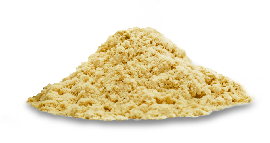 Ginger Extract Powde