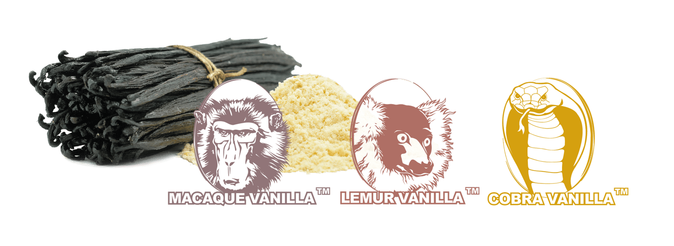 Vanilla Extract Powder