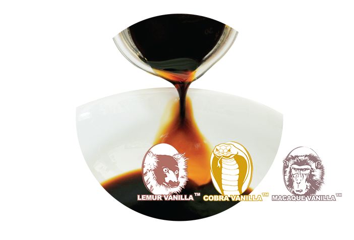 Vanilla Liquid Extract