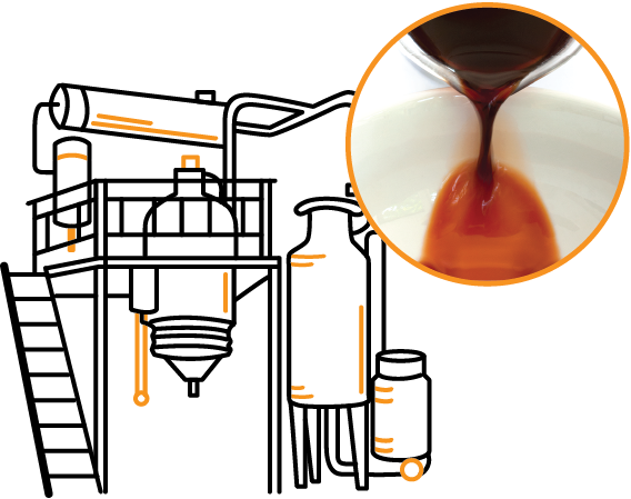 Manufacturing Process - Liquid Extract